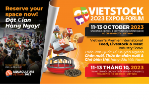 Vietstock 2023 - Thiết kế gian hàng triển lãm Vietstock
