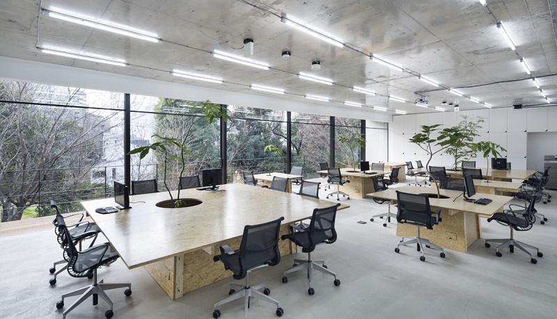 Mẫu: Thiết kế văn phòng không gian mở đơn giản mà đẹp