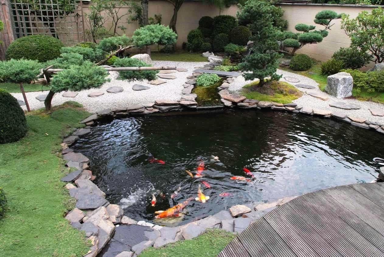 Quán nhậu sân vườn kết hợp với hồ cá KOI